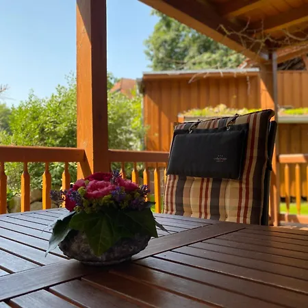 Luxus Ferienhaeuser Chalets Zum Ilsetal Mit Kamin & Sauna In Ilsenburg Im Harz Buitenkant foto