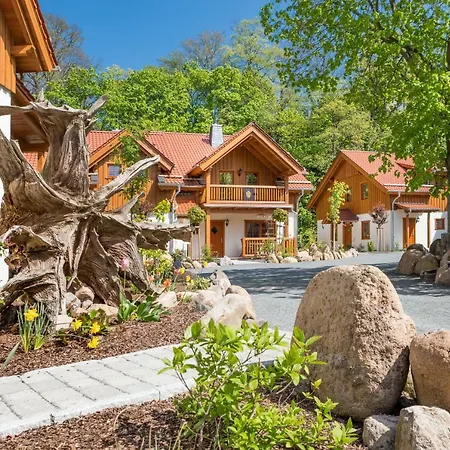 Luxus Ferienhaeuser Chalets Zum Ilsetal Mit Kamin & Sauna In Ilsenburg Im Harz Kamer foto