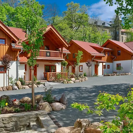 Luxus Ferienhaeuser Chalets Zum Ilsetal Mit Kamin & Sauna In Ilsenburg Im Harz Buitenkant foto