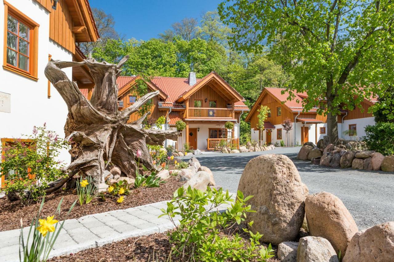 Luxus Ferienhaeuser Zum Ilsetal Mit Kamin & Sauna In Im Harz Chalet